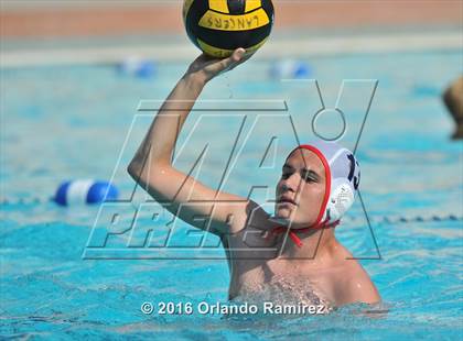 Thumbnail 2 in Olympian @ Hilltop photogallery.