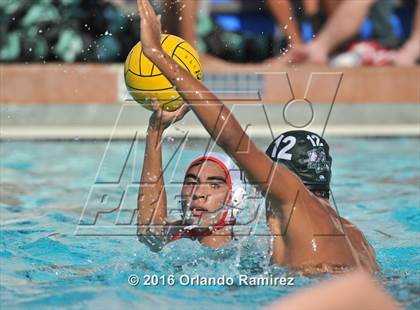 Thumbnail 2 in Olympian @ Hilltop photogallery.