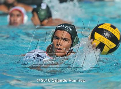 Thumbnail 1 in Olympian @ Hilltop photogallery.