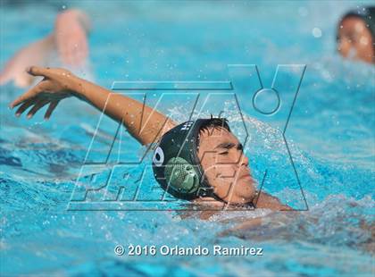 Thumbnail 3 in Olympian @ Hilltop photogallery.