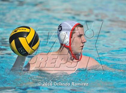 Thumbnail 3 in Olympian @ Hilltop photogallery.