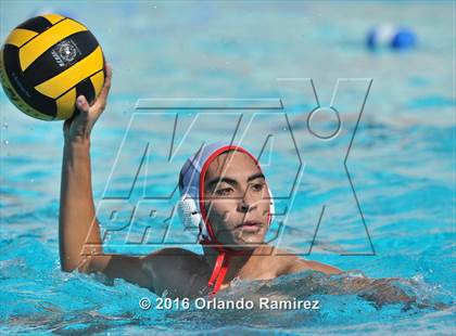 Thumbnail 1 in Olympian @ Hilltop photogallery.