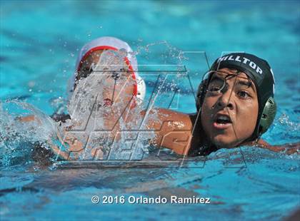 Thumbnail 3 in Olympian @ Hilltop photogallery.