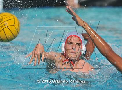Thumbnail 1 in Olympian @ Hilltop photogallery.