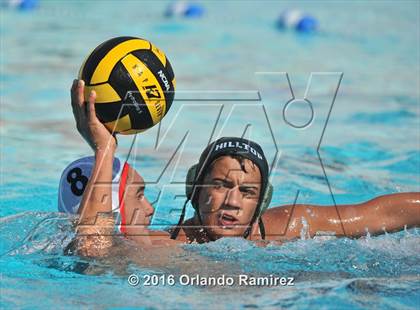 Thumbnail 2 in Olympian @ Hilltop photogallery.