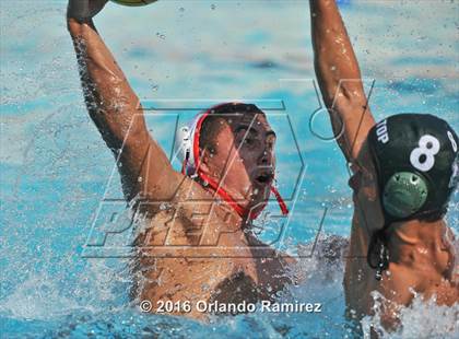 Thumbnail 2 in Olympian @ Hilltop photogallery.