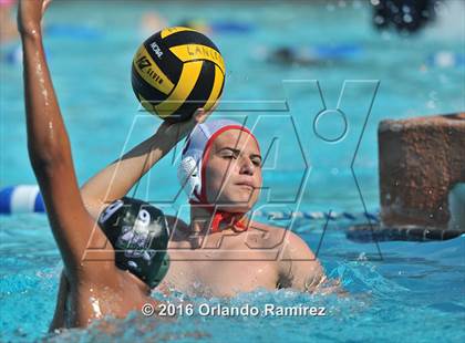 Thumbnail 3 in Olympian @ Hilltop photogallery.