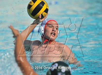 Thumbnail 3 in Olympian @ Hilltop photogallery.