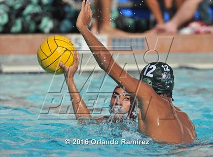 Thumbnail 3 in Olympian @ Hilltop photogallery.