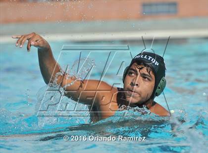 Thumbnail 3 in Olympian @ Hilltop photogallery.