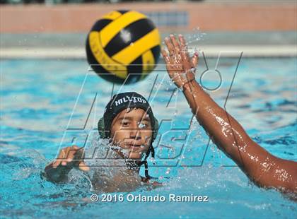Thumbnail 1 in Olympian @ Hilltop photogallery.
