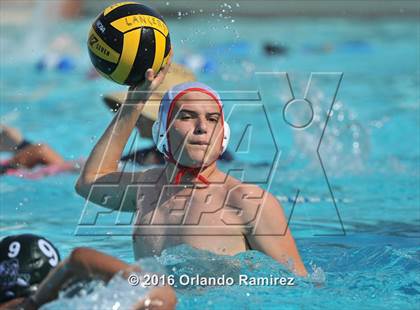 Thumbnail 2 in Olympian @ Hilltop photogallery.