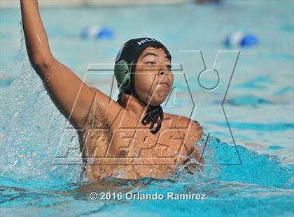 Thumbnail 1 in Olympian @ Hilltop photogallery.