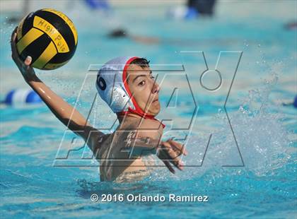 Thumbnail 1 in Olympian @ Hilltop photogallery.