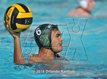 Thumbnail 1 in Olympian @ Hilltop photogallery.