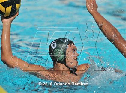 Thumbnail 1 in Olympian @ Hilltop photogallery.
