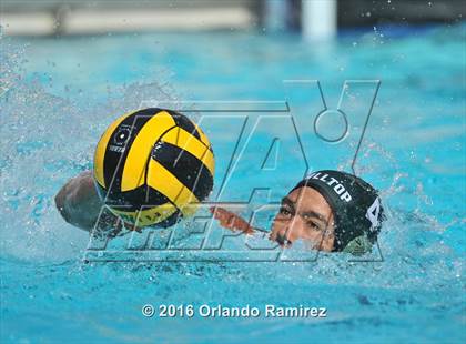 Thumbnail 1 in Olympian @ Hilltop photogallery.