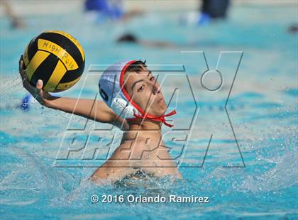 Thumbnail 3 in Olympian @ Hilltop photogallery.