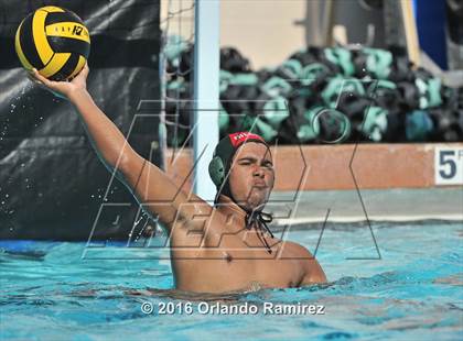 Thumbnail 2 in Olympian @ Hilltop photogallery.