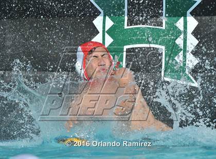 Thumbnail 3 in Olympian @ Hilltop photogallery.