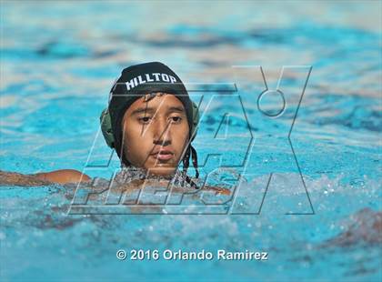 Thumbnail 1 in Olympian @ Hilltop photogallery.