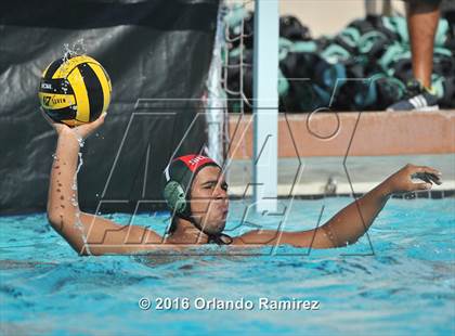 Thumbnail 3 in Olympian @ Hilltop photogallery.
