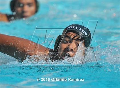 Thumbnail 1 in Olympian @ Hilltop photogallery.