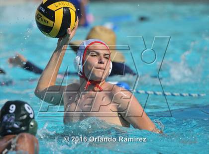 Thumbnail 1 in Olympian @ Hilltop photogallery.