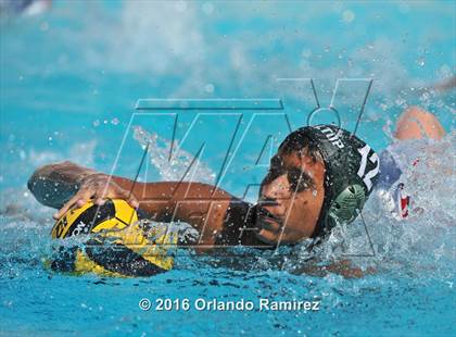 Thumbnail 1 in Olympian @ Hilltop photogallery.