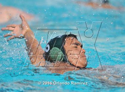 Thumbnail 1 in Olympian @ Hilltop photogallery.