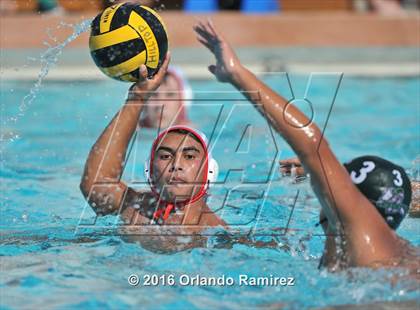 Thumbnail 2 in Olympian @ Hilltop photogallery.