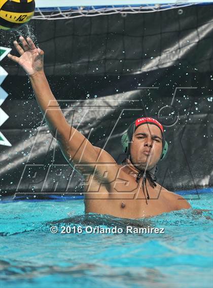 Thumbnail 1 in Olympian @ Hilltop photogallery.