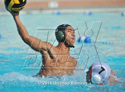 Thumbnail 1 in Olympian @ Hilltop photogallery.