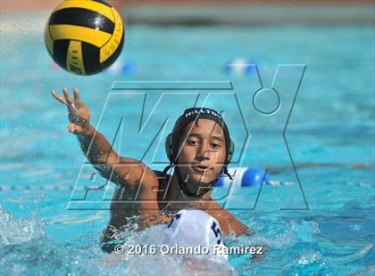 Thumbnail 1 in Olympian @ Hilltop photogallery.