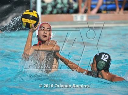 Thumbnail 3 in Olympian @ Hilltop photogallery.
