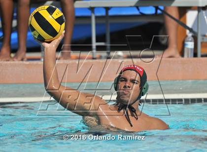Thumbnail 3 in Olympian @ Hilltop photogallery.