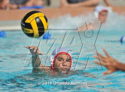Thumbnail 3 in Olympian @ Hilltop photogallery.