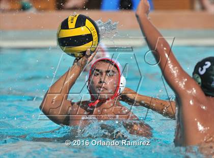 Thumbnail 3 in Olympian @ Hilltop photogallery.