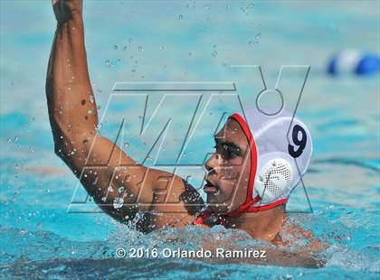 Thumbnail 2 in Olympian @ Hilltop photogallery.