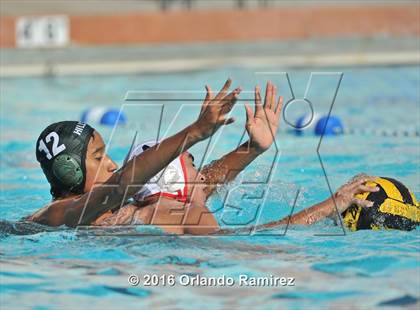 Thumbnail 1 in Olympian @ Hilltop photogallery.