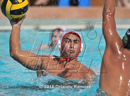 Thumbnail 1 in Olympian @ Hilltop photogallery.