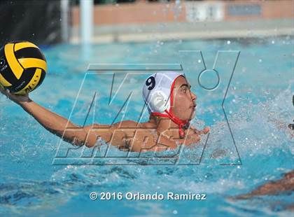 Thumbnail 1 in Olympian @ Hilltop photogallery.