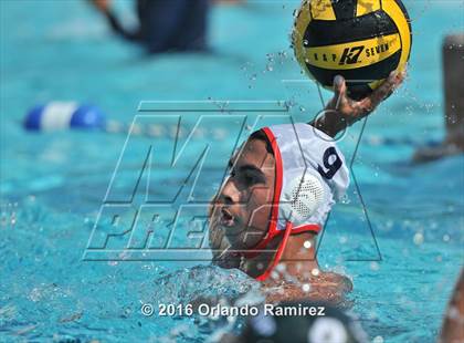 Thumbnail 3 in Olympian @ Hilltop photogallery.