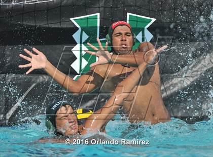 Thumbnail 3 in Olympian @ Hilltop photogallery.