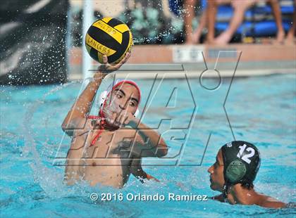 Thumbnail 1 in Olympian @ Hilltop photogallery.