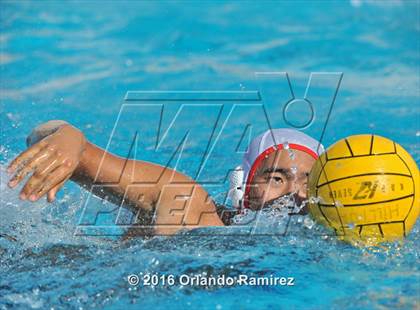 Thumbnail 3 in Olympian @ Hilltop photogallery.