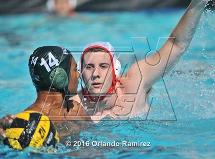Thumbnail 3 in Olympian @ Hilltop photogallery.