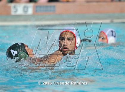 Thumbnail 3 in Olympian @ Hilltop photogallery.