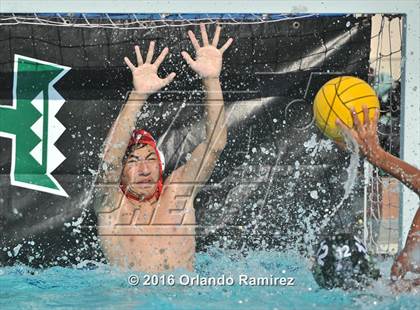 Thumbnail 3 in Olympian @ Hilltop photogallery.