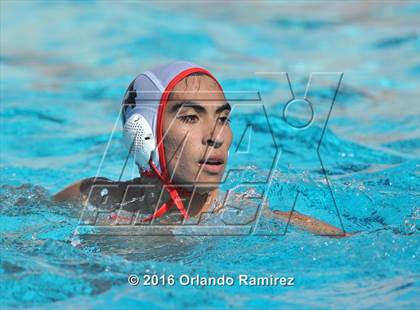 Thumbnail 3 in Olympian @ Hilltop photogallery.